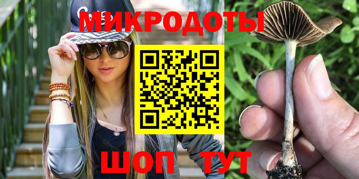 Казань  Псилоцибиновые грибы MAGIC MUSHROOMS  Вход с VPN 